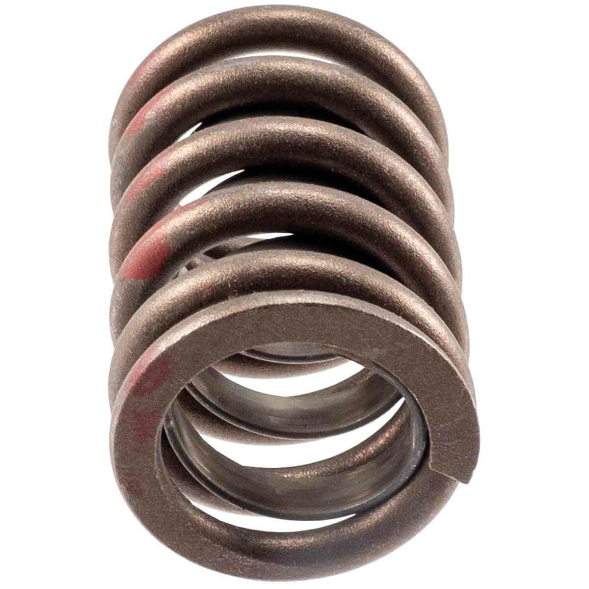 Engine Valve Spring Melling 466174, Pack of 4