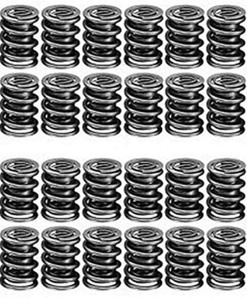 22170-24 Manley Valve Spring, 24 Piece