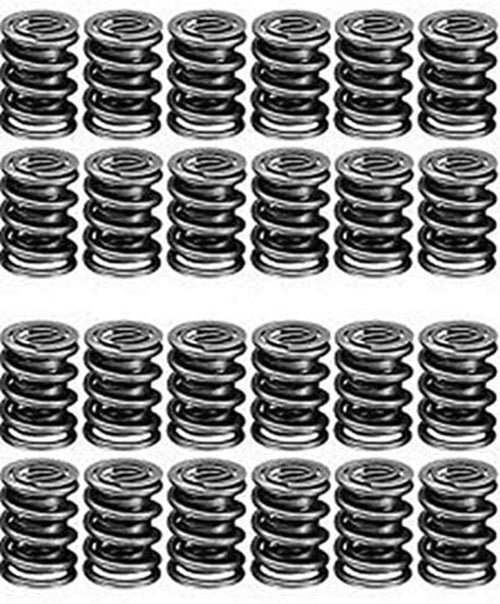 22170-24 Manley Valve Spring, 24 Piece