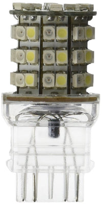 264207WA RECON Access LED Bulbs