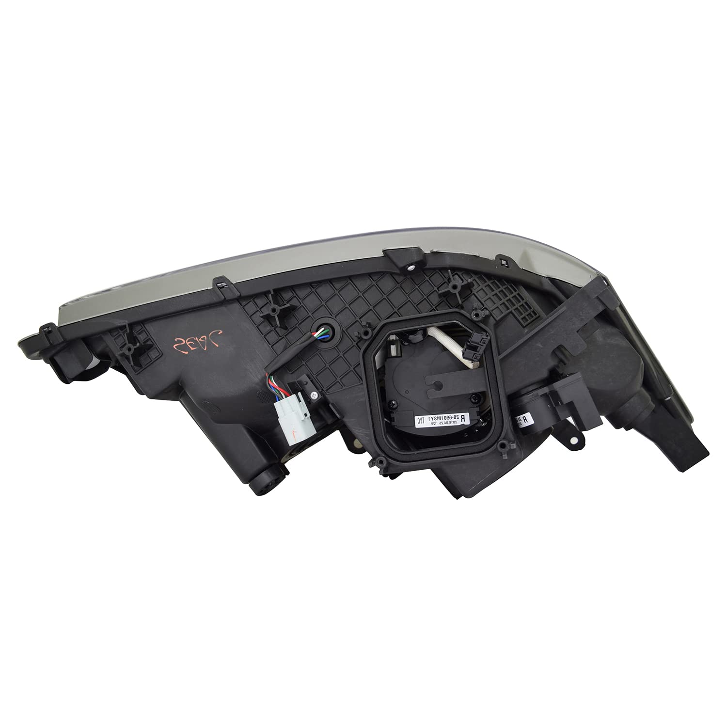Head TYC Lamp