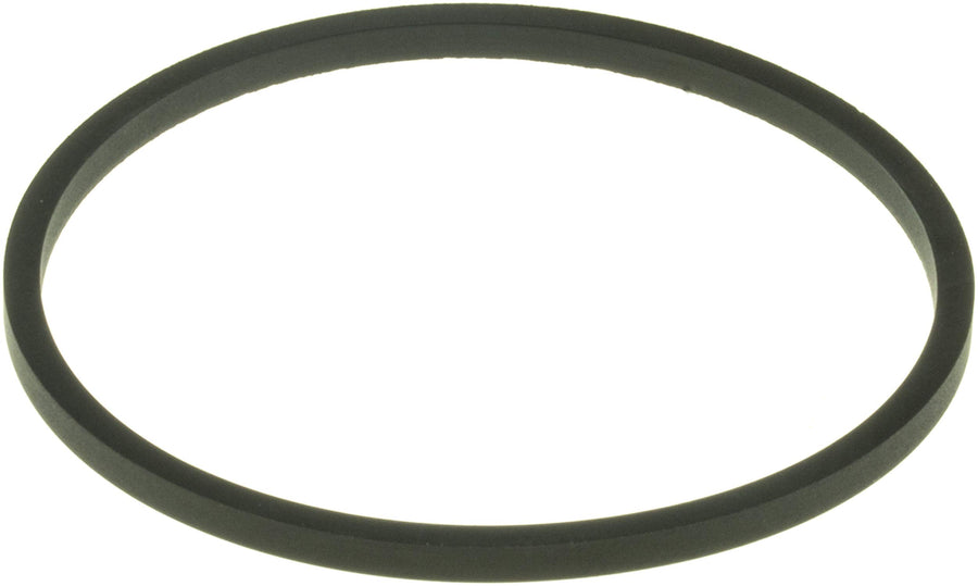Engine Coolant Thermostat Seal Gates 33670