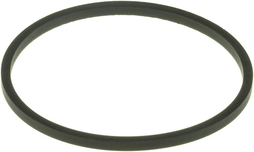 Engine Coolant Thermostat Seal Gates 33670