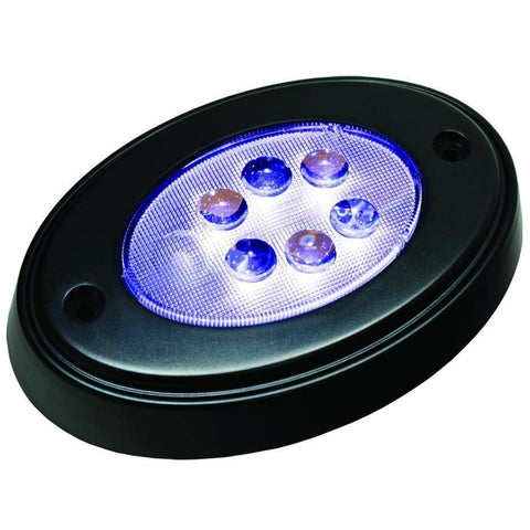 Courtesy Oval Lights