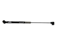 Sierra International Gas Spring GSS62820 Stainless Boat Engine Parts, Silver Black