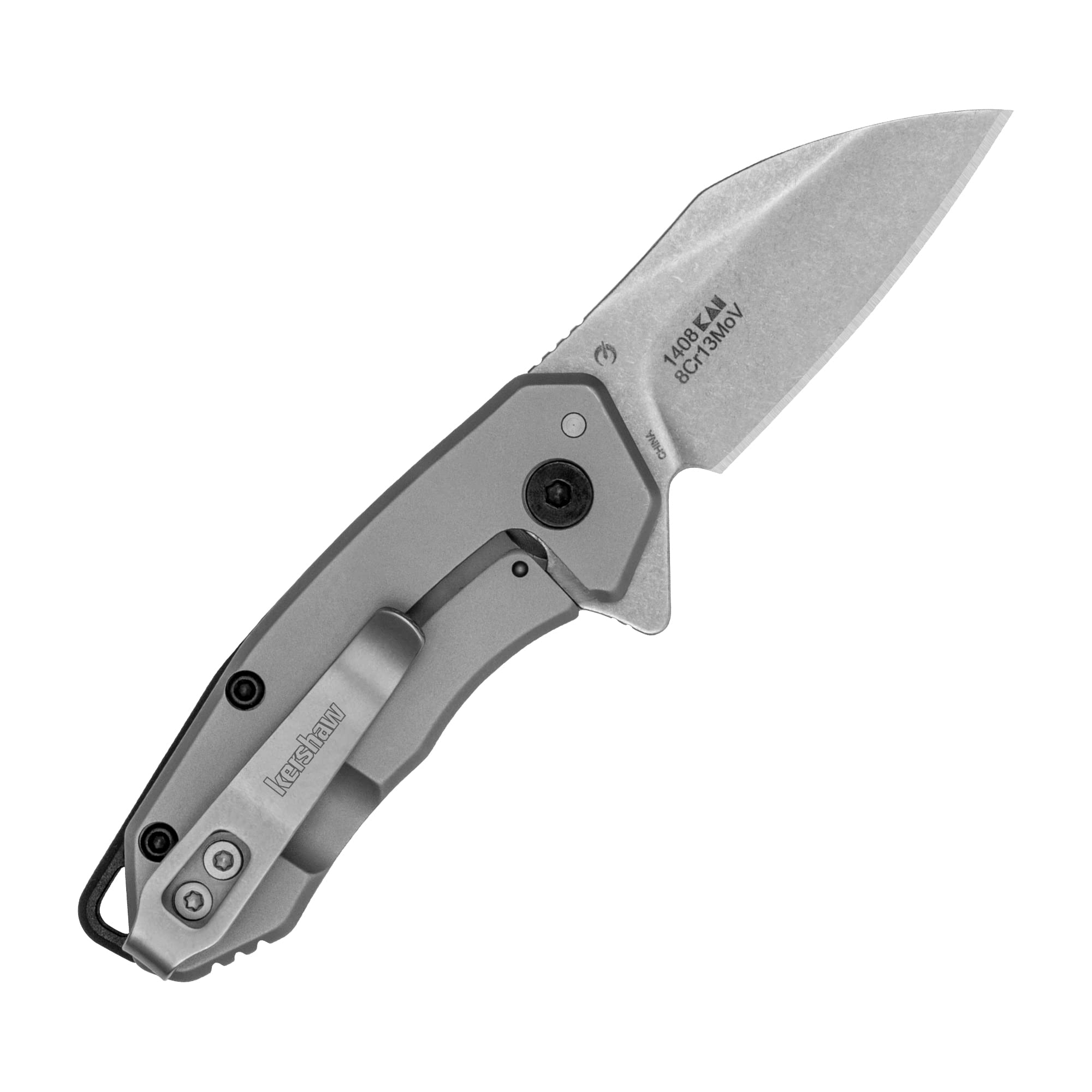 Kershaw Folding Rate Pocket Knife, Small Everyday Carry Knife with Assisted Opening, 8Cr13MoV Stainless Steel Blade, Pocketclip and Lanyard Hole,Grey