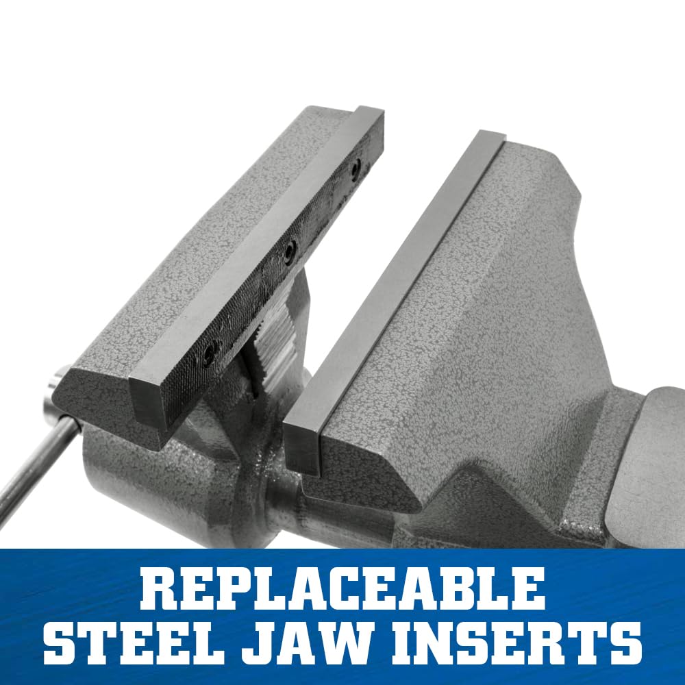 Wilton Pro Mechanics Bench Vise, 10" Jaw Width, 12" Jaw Opening, 5-1/4" Throat (Model 8100M)