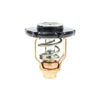 18-3641 Sierra International Thermostat