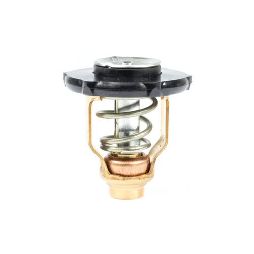 18-3641 Sierra International Thermostat