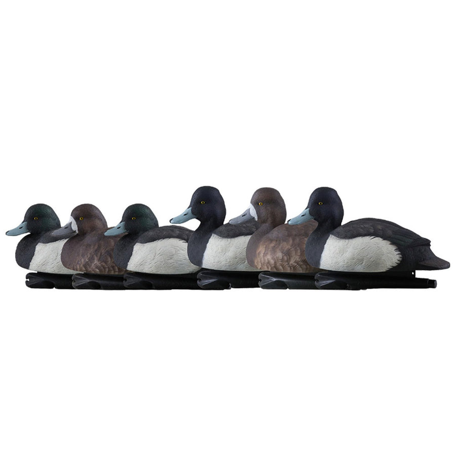 Blue Bills Avian-X Topflight Decoy Set Realistic Duck Decoys with Weight Forward Swim Keel, Greater and Lesser Blue Bills, Set of 6, Multicolor