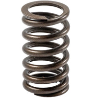 VS-110 Melling Engine Valve Spring