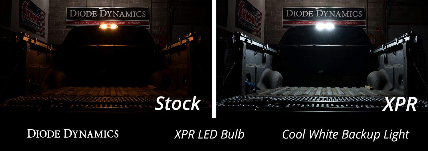 921 XPR Diode Dynamics Cool White Backup LED Bulbs