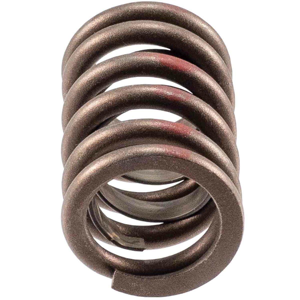 Engine Valve Spring Melling 466174, Pack of 4