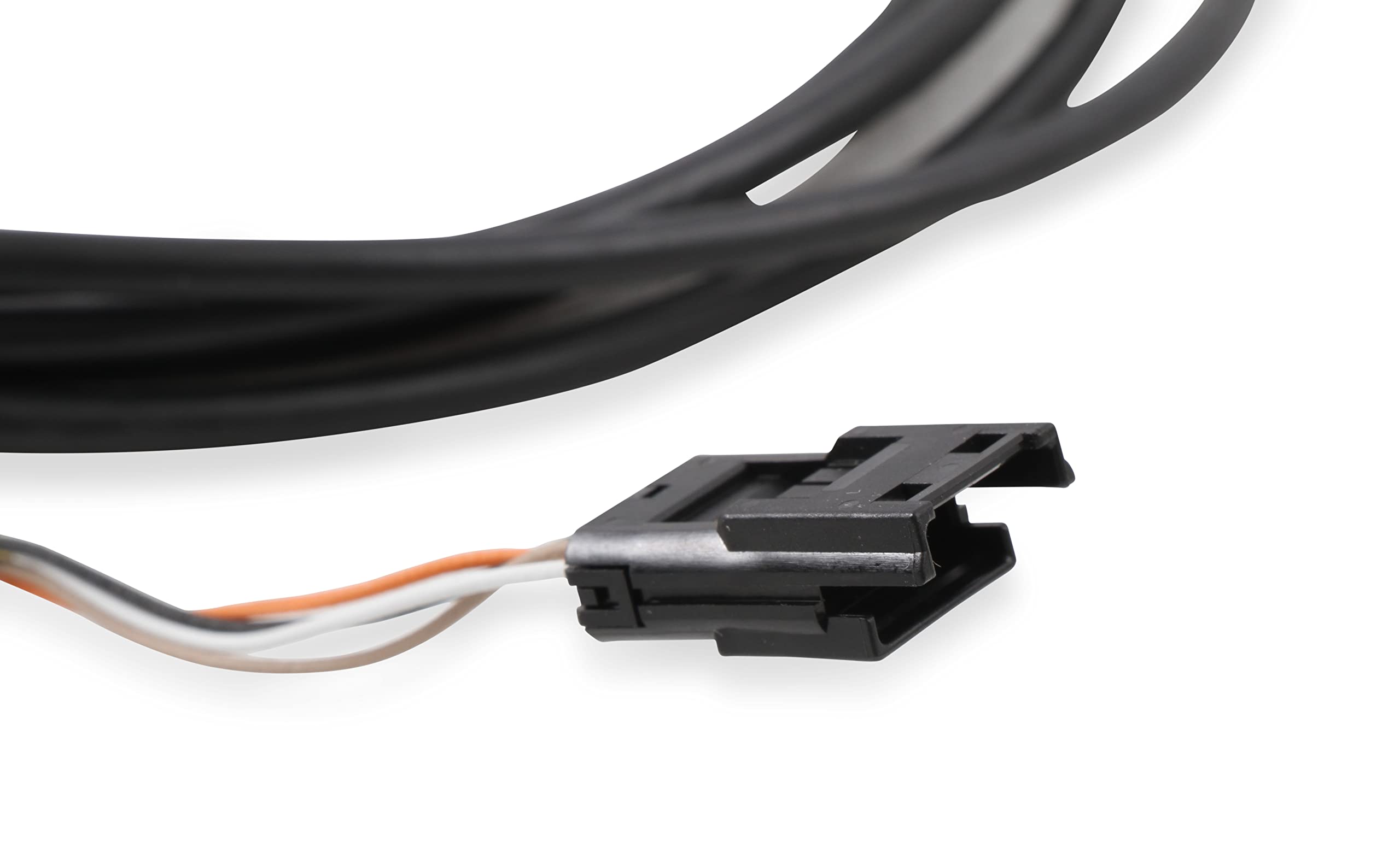 558-454 Holley EFI CAN Adapter Harness - 12 Foot Length