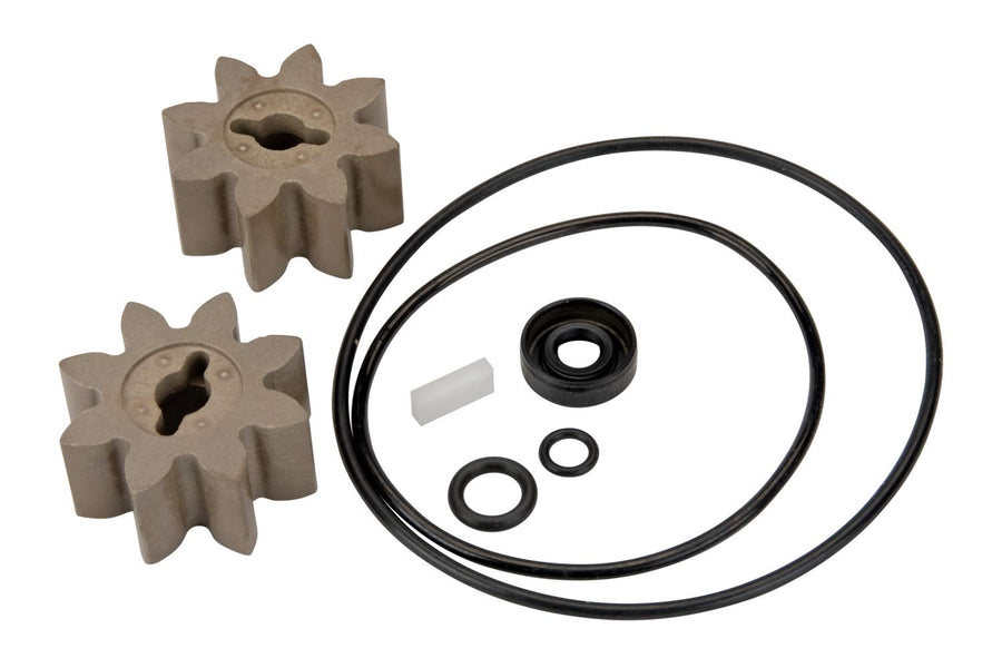 EZ-8 Fuel Transfer Pump GPI Overhaul Kit for Manufactured on or Before Jan. 8, 2016, Motor Shaft Key, Two Gears, and Replacement Seals (13750005)