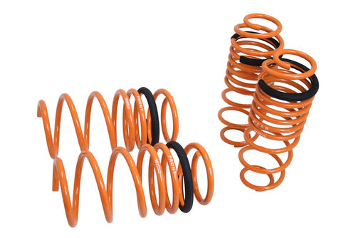 Coilover Lowering Spring Megan Racing MR-LS-M210
