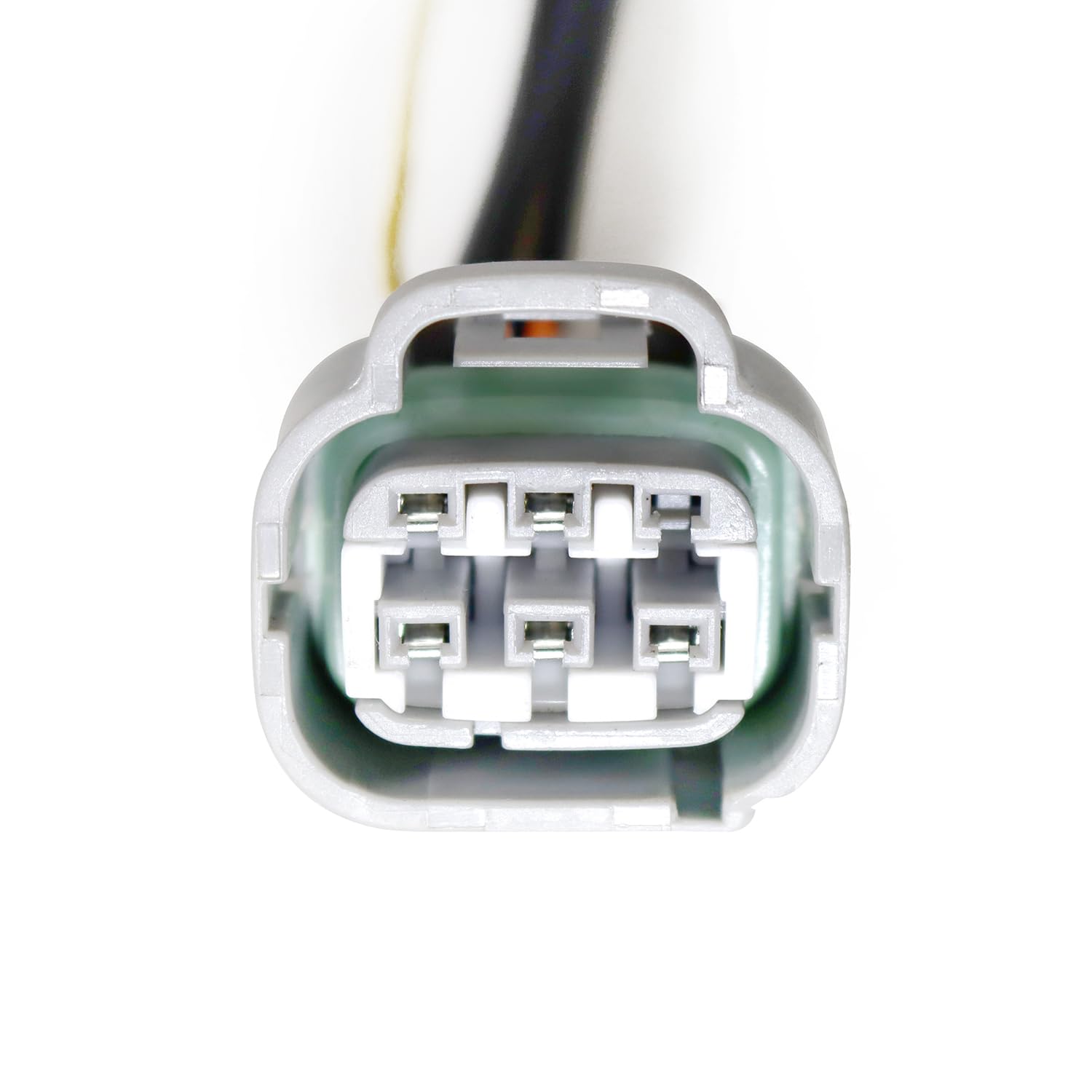 810031 Alpharex