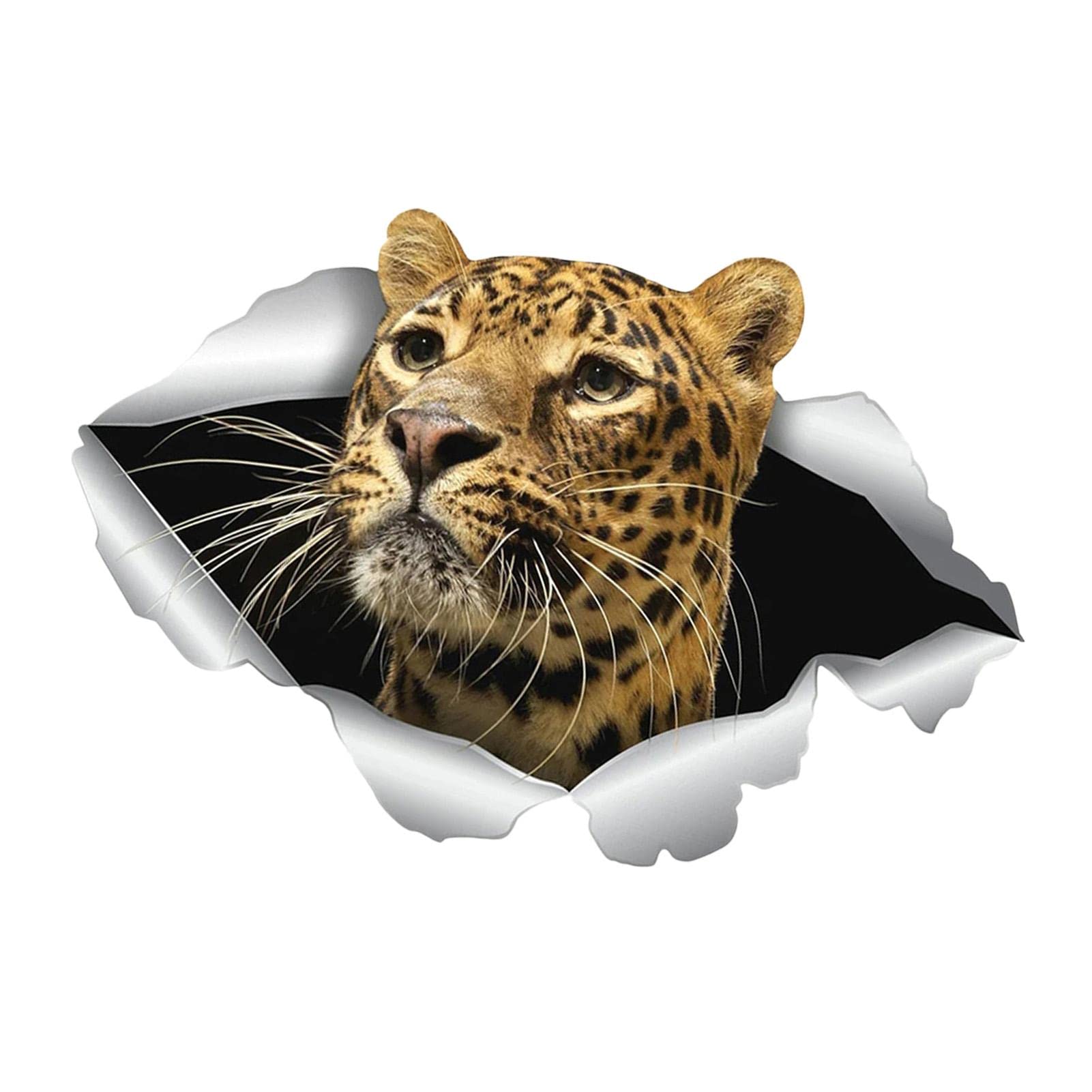 Golf Ball Basket Accessories Golf Club with Handle