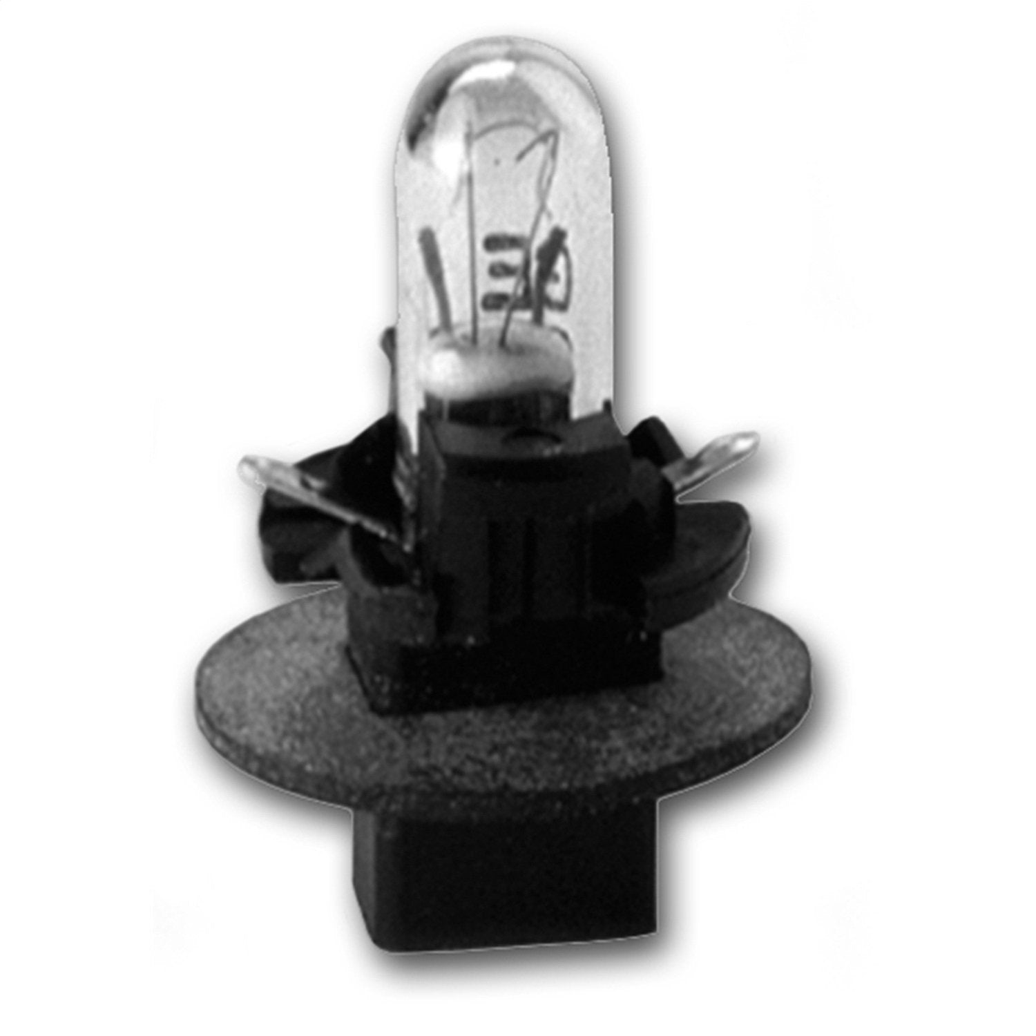 AUTO METER Bulb and 3219 Twist in Socket