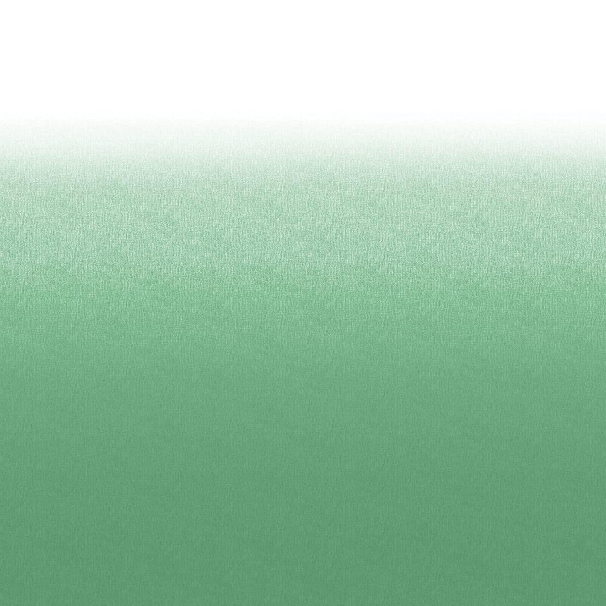 Solera Heavy-Duty Universal Fit Vinyl RV Patio Awning Replacement Fabric Green Fade 16' Awning (15'4" Fabric)