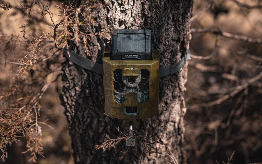 Cellular Trail Cameras SPYPOINT Security Box - SB-200 Steel Security Box fits 42 LED Cellular Game Camera | Protective Heavy Duty Steel Case fit on Cell Cameras for hunting, Trail Camera Lock Box