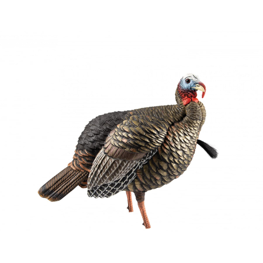 HDR Jake Avian-X Turkey Decoy | Rugged Durable Realistic Lifelike Quarter-Strut Body Standing Hunting Decoy with 2 Removable Heads, Mounting Stake & Carry Bag