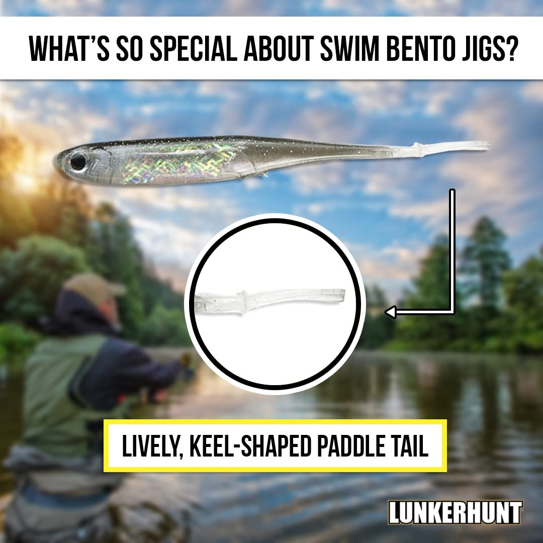 Bento Bait Lunkerhunt Fishing Lure (6 Pieces)| Each 3-Inch, Dace Color | Life-Like Saltwater and Freshwater Fish Baits, Award Winning, Soft Body for Bass Trout Fishing