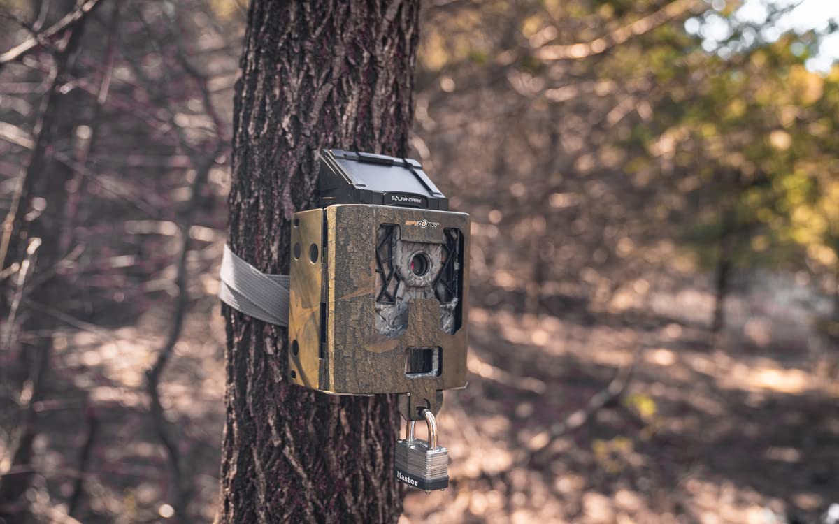 Cellular Trail Cameras SPYPOINT Security Box - SB-200 Steel Security Box fits 42 LED Cellular Game Camera | Protective Heavy Duty Steel Case fit on Cell Cameras for hunting, Trail Camera Lock Box