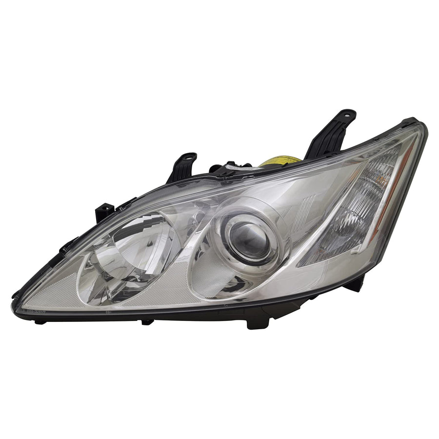 Head TYC Lamp