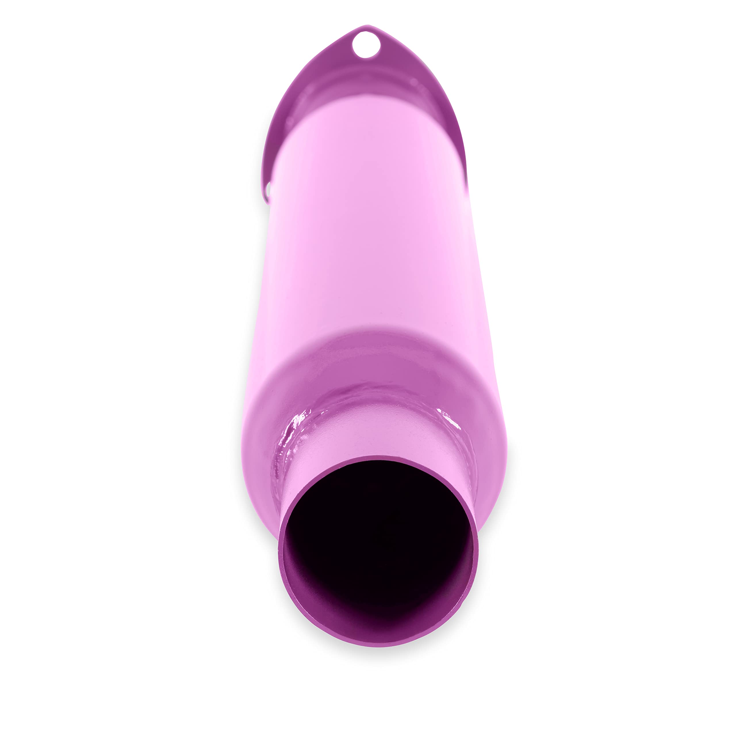 Purple Hornies Flowtech 50230FLT Glasspack