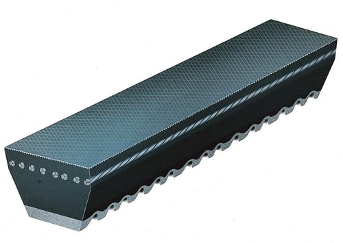 Belt V