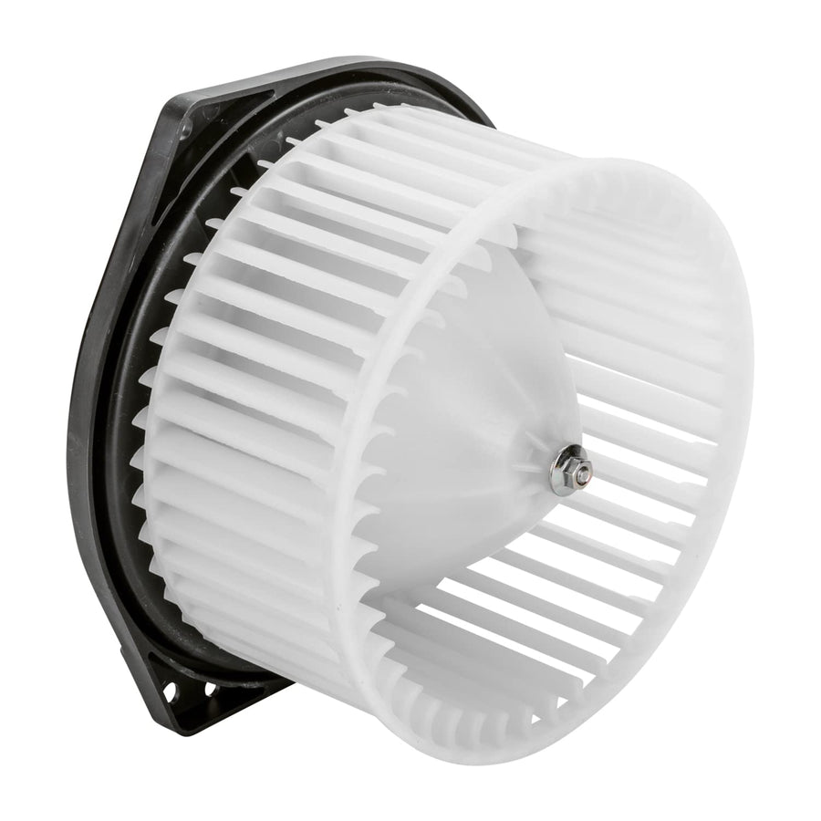 Replacement TYC 700243 Blower Assembly