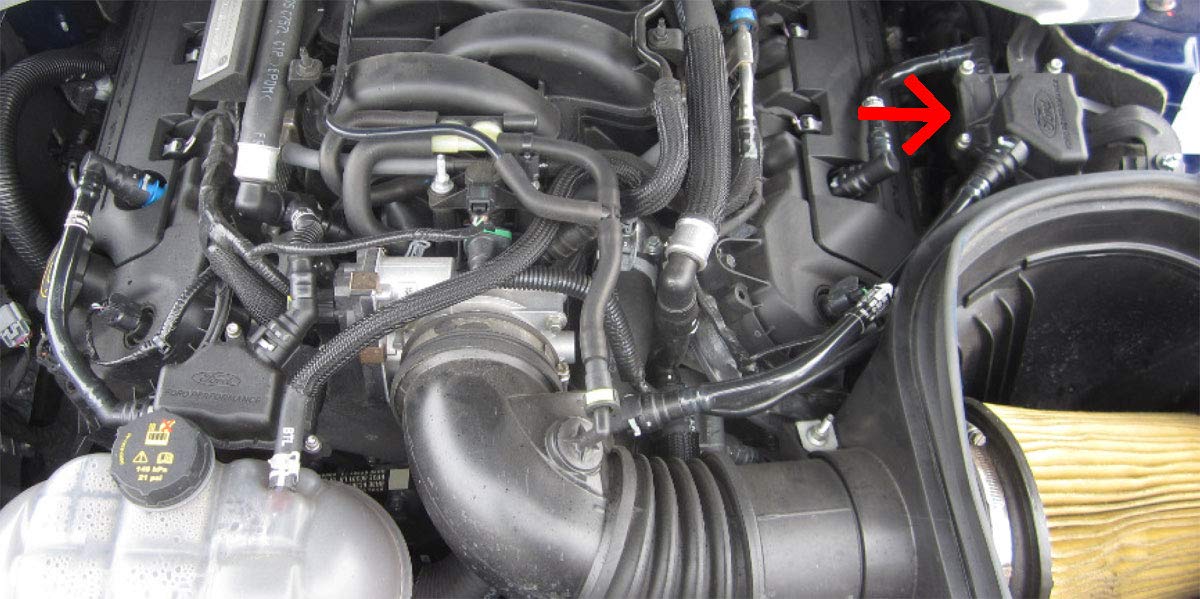 15-16 Mustang GT350 Ford Racing (M-6766-A50S) 5.2L V8 Oil-Air Separator
