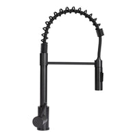 Lippert Coiled Pull Down Flow Max Kitchen Faucet for RVs and Residential,2021090598