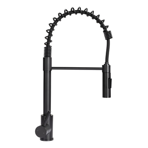 Lippert Coiled Pull Down Flow Max Kitchen Faucet for RVs and Residential,2021090598