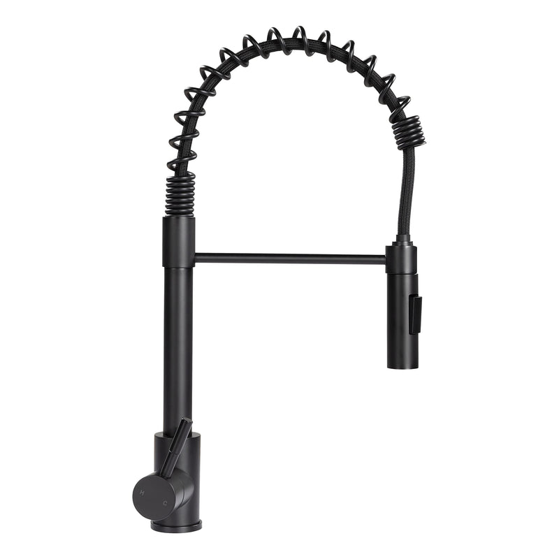 Lippert Coiled Pull Down Flow Max Kitchen Faucet for RVs and Residential,2021090598