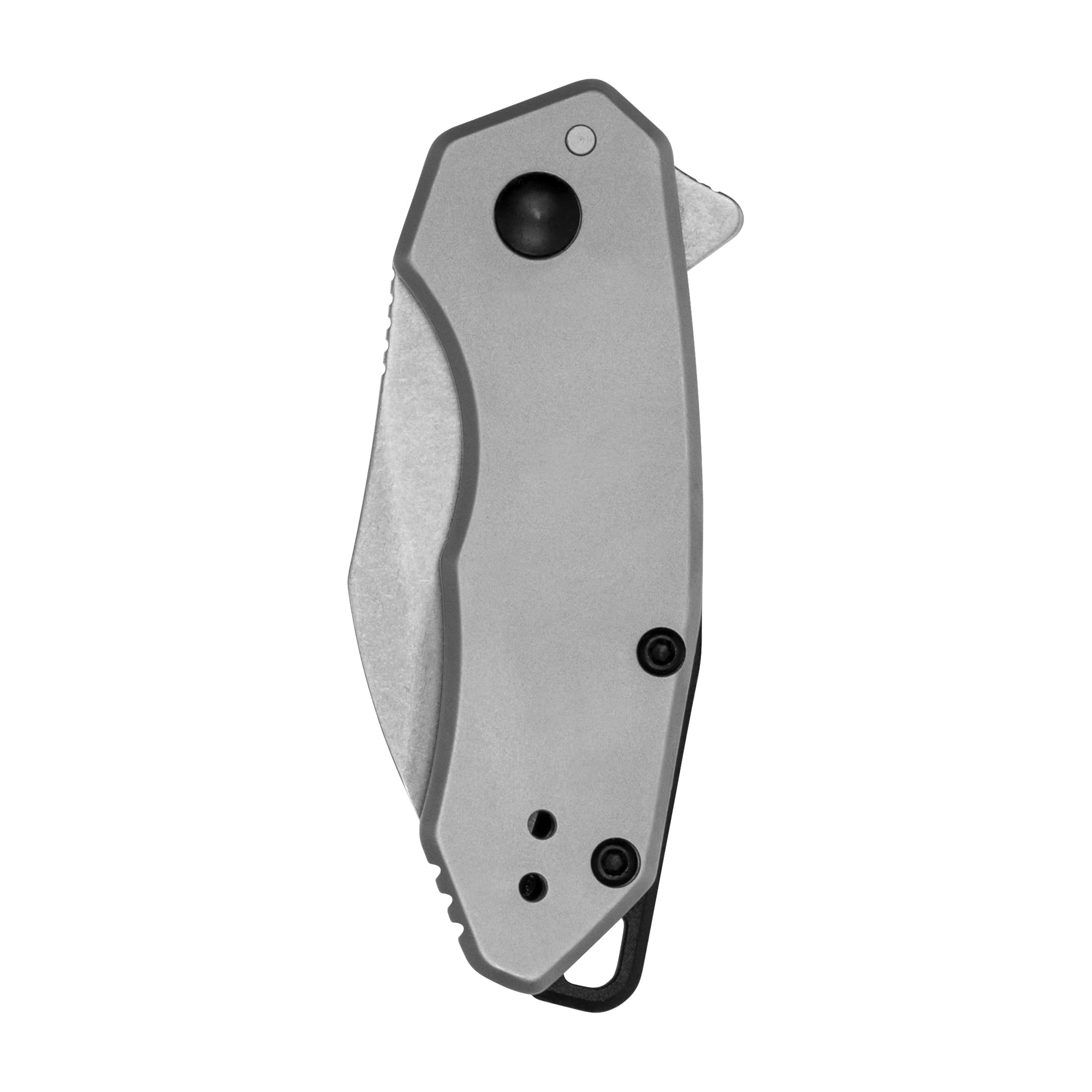 Kershaw Folding Rate Pocket Knife, Small Everyday Carry Knife with Assisted Opening, 8Cr13MoV Stainless Steel Blade, Pocketclip and Lanyard Hole,Grey