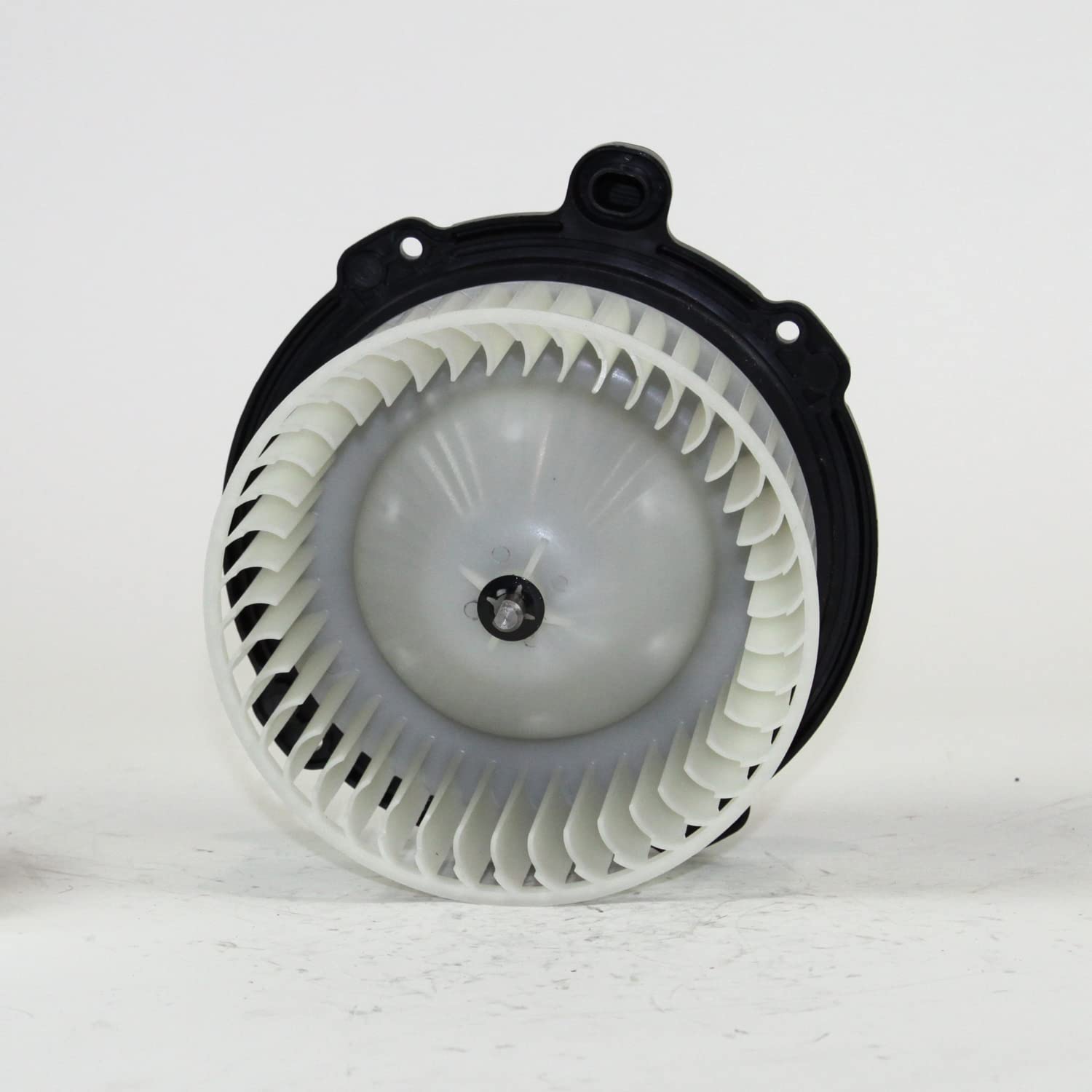 Blower Assy TYC 00-02 Hd Paspt