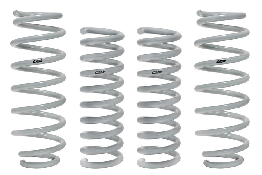 Eibach Dorman Springs E32-27-004-02-22 Drag-Launch Kit (Performance Springs)
