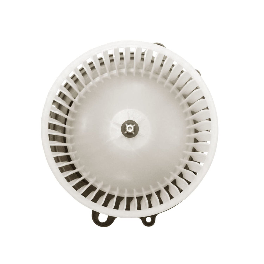 Ford/Mercury TYC 700017 Replacement Blower Assembly