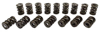 22145416 Manley Valve Spring