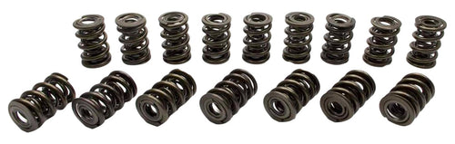 22145416 Manley Valve Spring