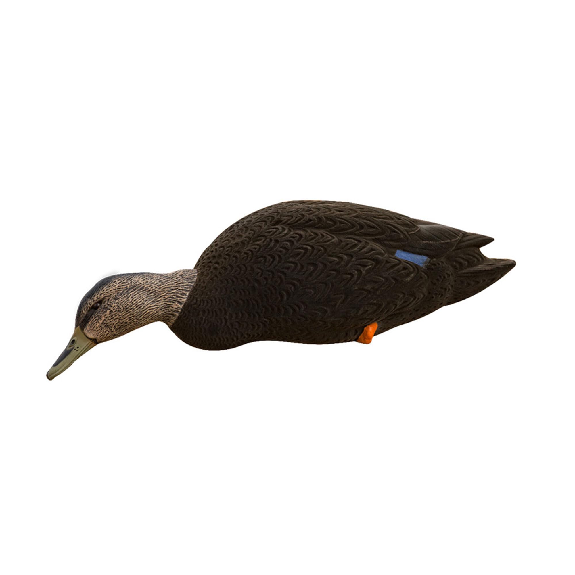AXF Avian-X 6 Piece Flocked Full Body Black Ducks Fusion Pack with Rugged Durability and Custom Fitted Bag for Hunting Use, Outdoor Sports, and Recreation