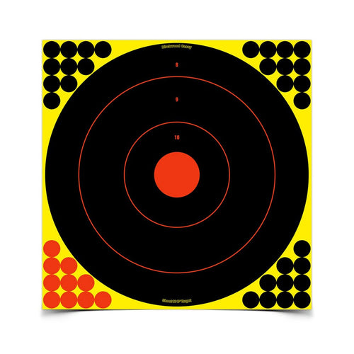 Shoot-N-C Birchwood Casey 17.25'' Bull's-Eye Practice Target, 100 Targets, 4000 Pasters