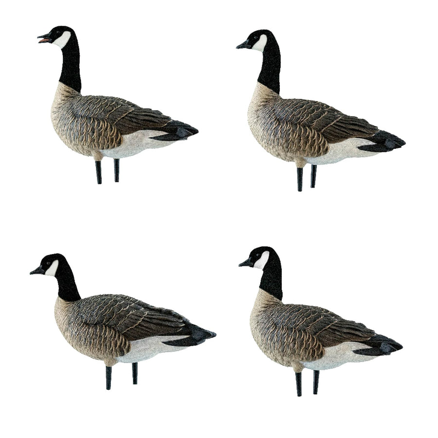 AXP Lessers Avian X Outfitter Pack, 12 Full Body Canada Goose Decoys, Oversized, Flocked Heads, 12 Stakes, Includes 12-Slot Bag