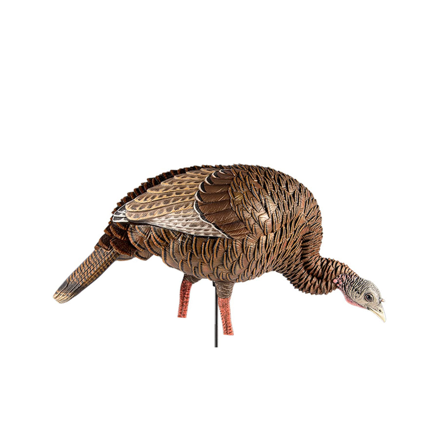 HDR Feeding Avian-X Hen Turkey Decoy