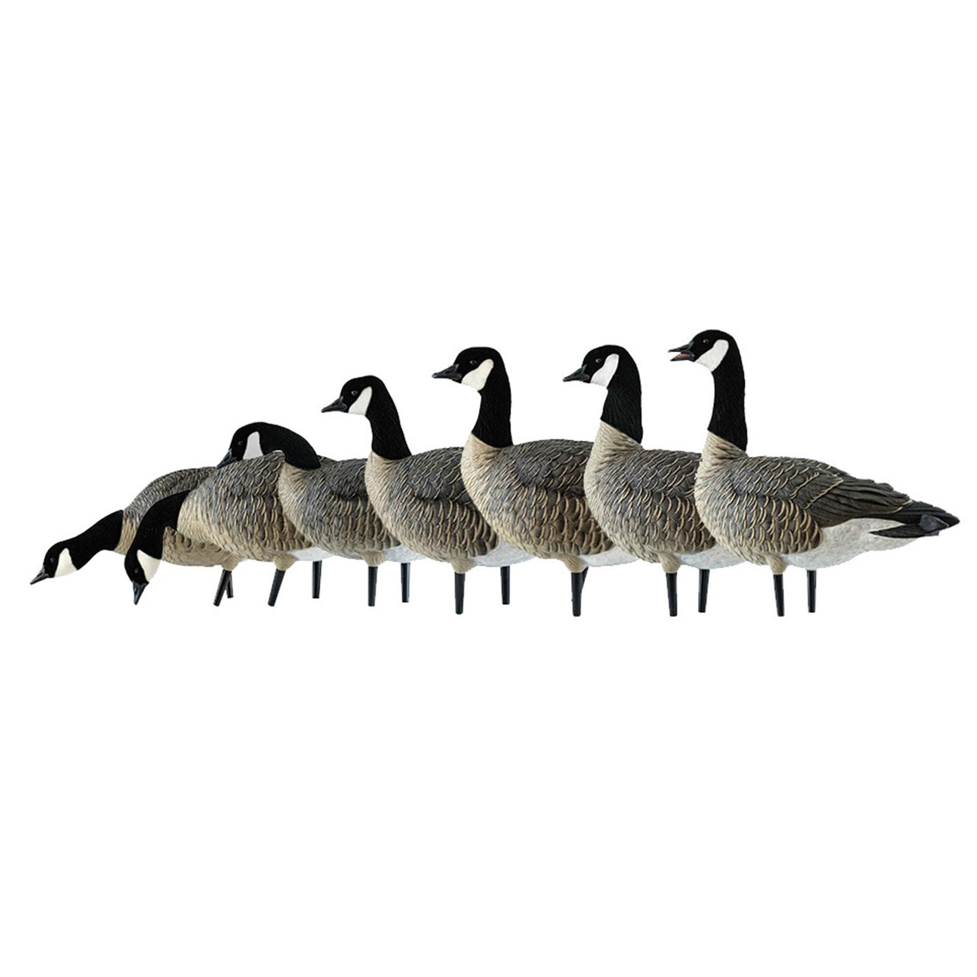 AXF Avian X Lessers Full Body Goose Hunting Decoys with12 Slot Bag, Rugged Durability, & Full Body Equipment for Decoys & Hunting Purposes, 12 Pack