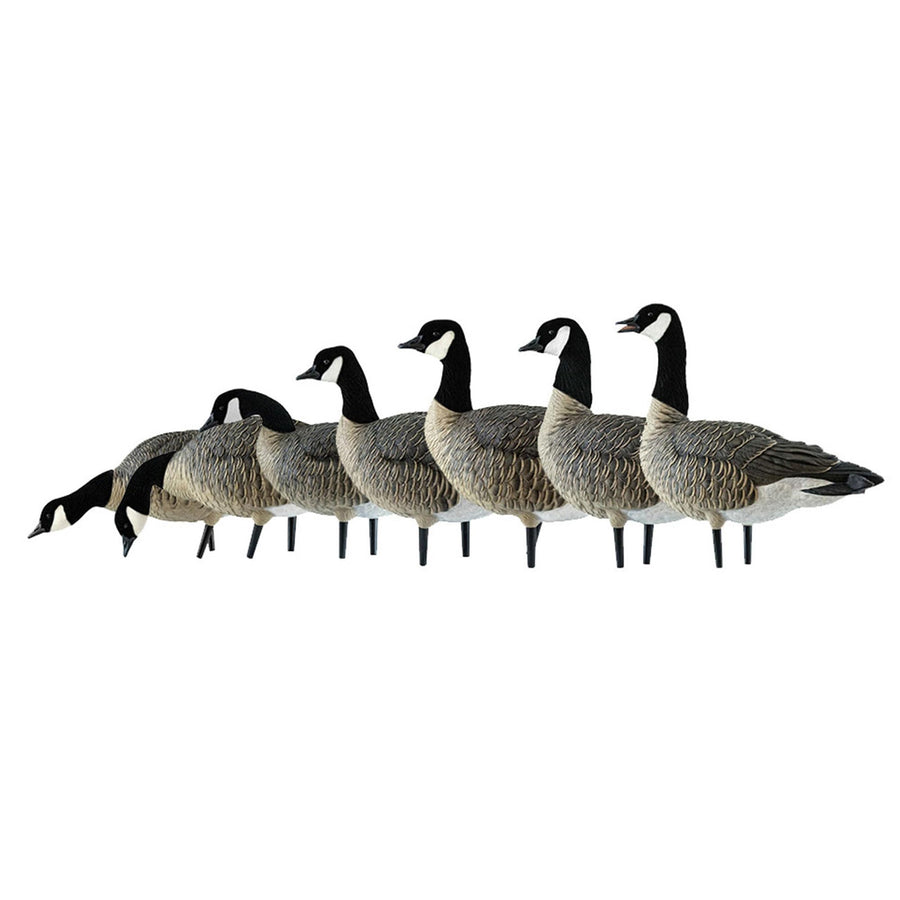 AXF Avian X Lessers Full Body Goose Hunting Decoys with12 Slot Bag, Rugged Durability, & Full Body Equipment for Decoys & Hunting Purposes, 12 Pack