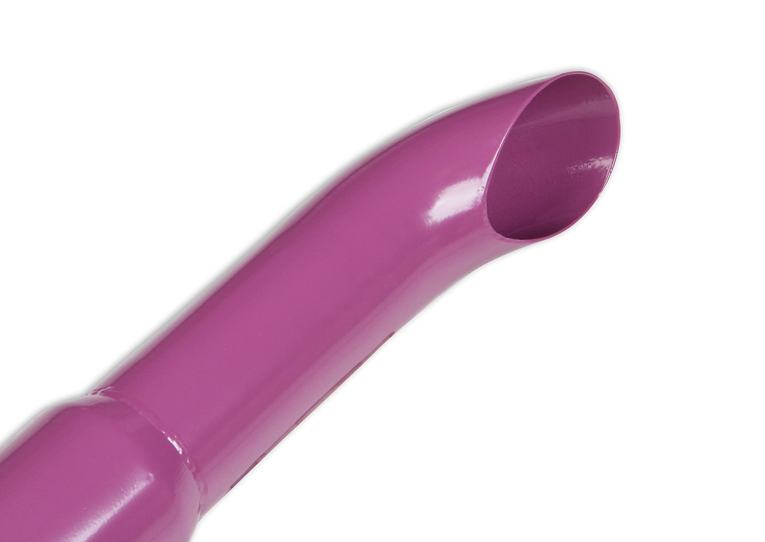 Purple Hornies Flowtech 50231FLT Glasspack