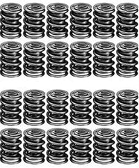 22130-24 Manley Valve Spring, 24 Piece